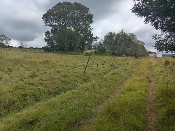 21 ha Agricultural Holding