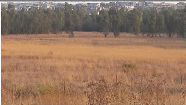 25.7 ha Land