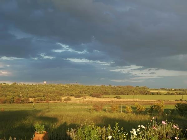 8.5 ha Smallholding