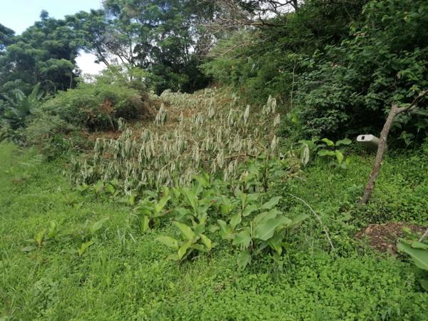 1 471 m² Land