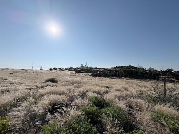 1.3 ha Land