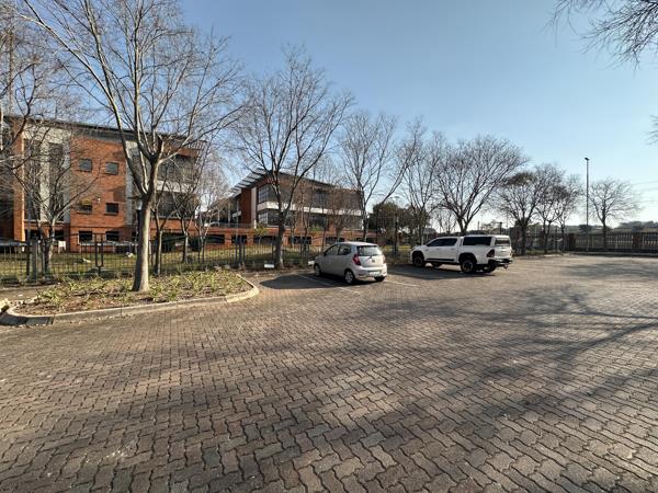 155.3 m² Commercial space