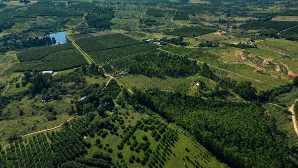 65.3 ha Farm