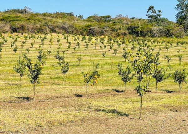 44.6 ha Agricultural Holding