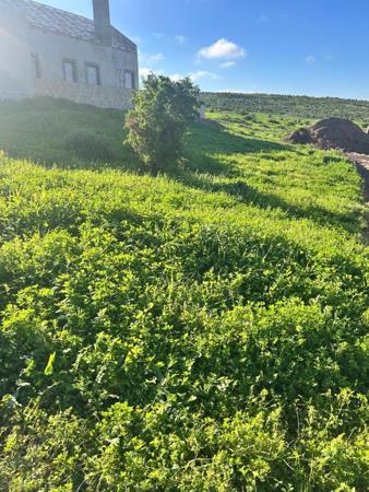 556 m² Land