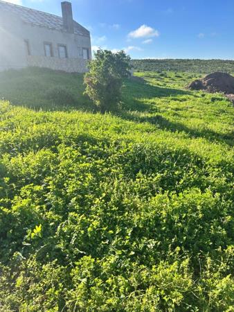 556 m² Land