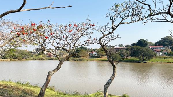 700 m² Land