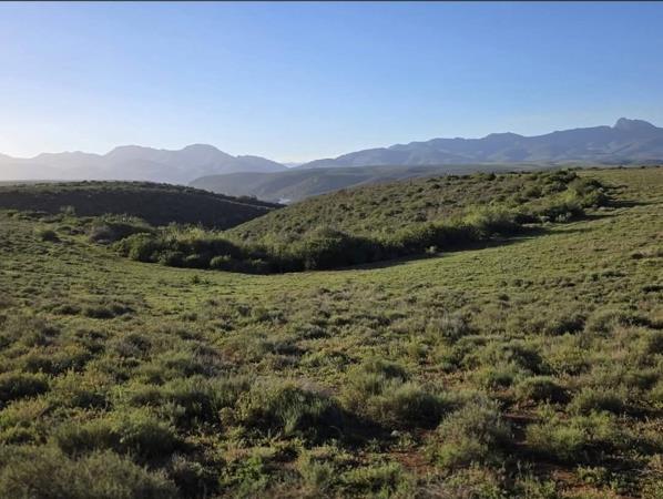 76 ha Commercial Farm