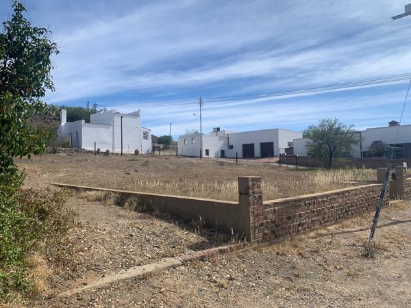 1 007 m² Land
