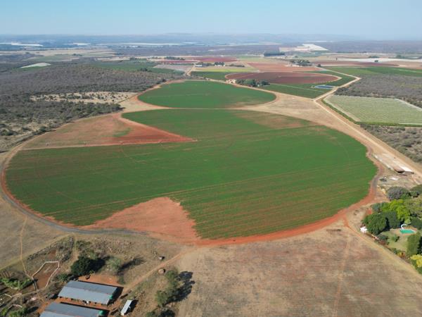 62 ha Agricultural Holding