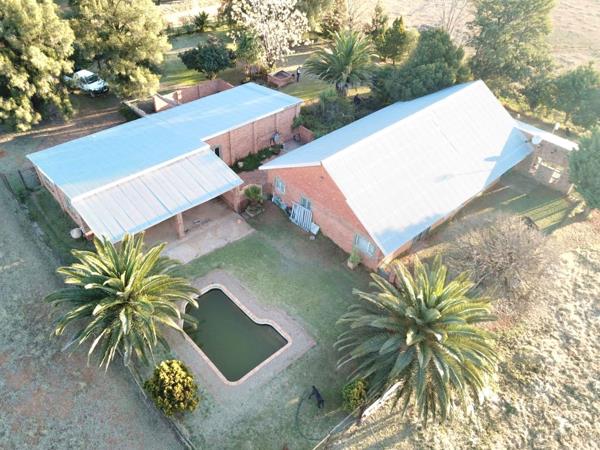 4.1 ha Smallholding