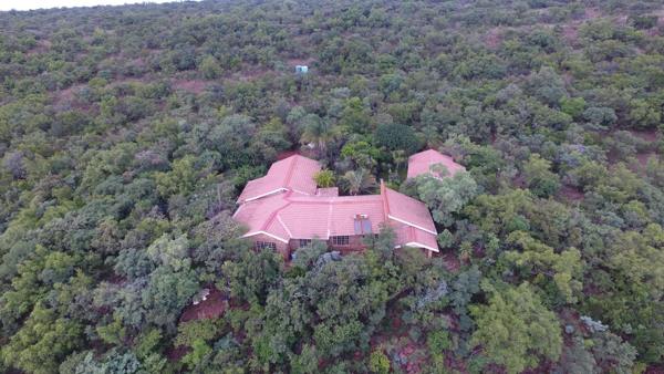 21.5 ha Farm