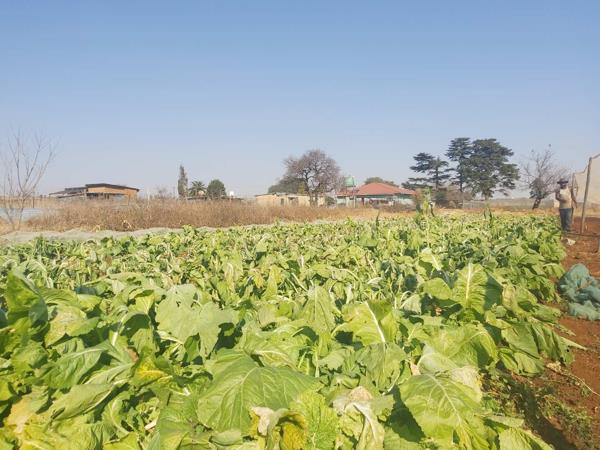 1.7 ha Smallholding