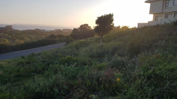1 008 m² Land