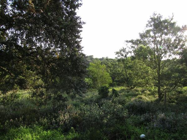 1 711 m² Land