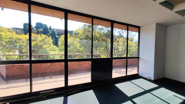 230 m² Office Space