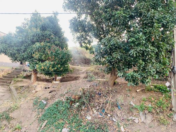 20 m² Land