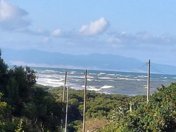 803 m² Land