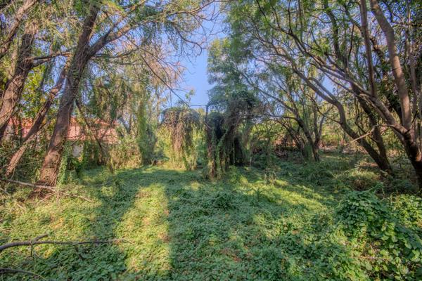 1 365 m² Land