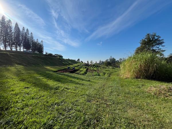 6.5 ha Farm
