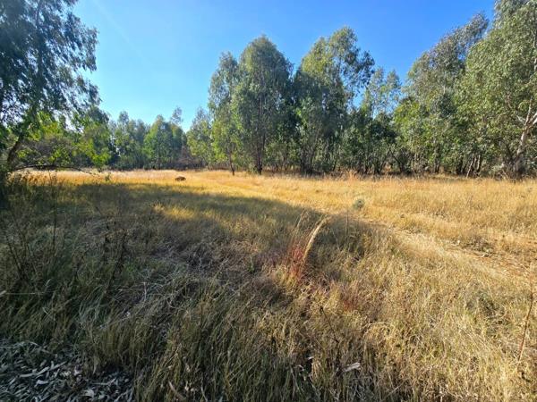 1 ha Land