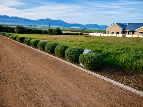 1 596 m² Land