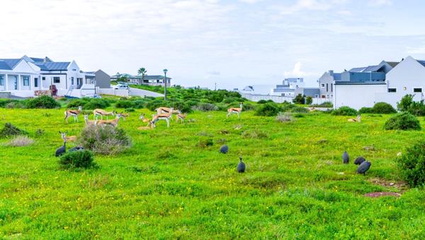 853 m² Land