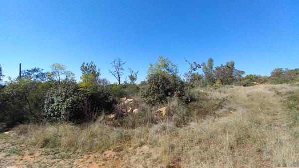 1.5 ha Land