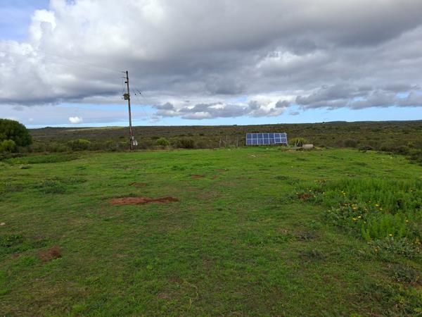 56 ha Farm