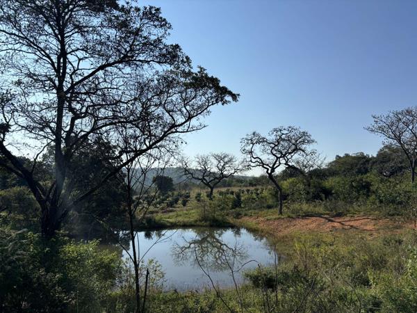 2.1 ha Land