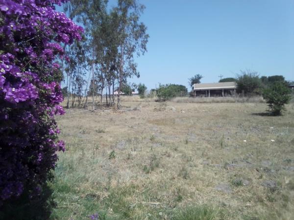 4 ha Farm