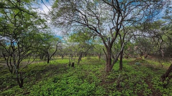 1 687 m² Land