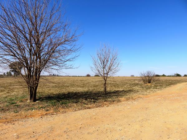 2.1 ha Smallholding