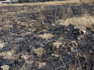 1 784 m² Land