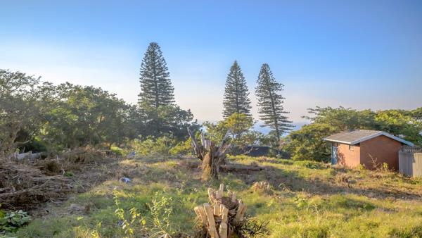 1 007 m² Land