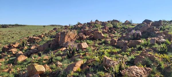 178 ha Land