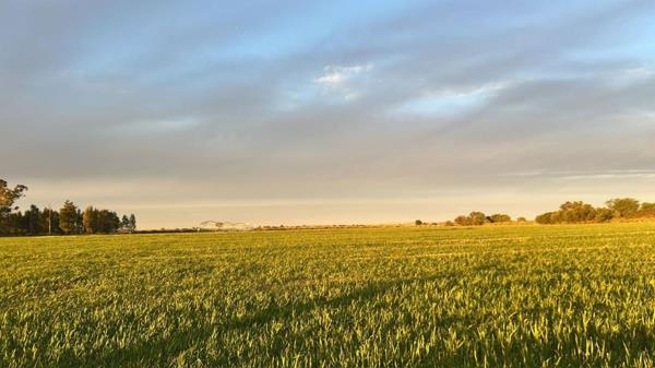 356.1 ha Farm