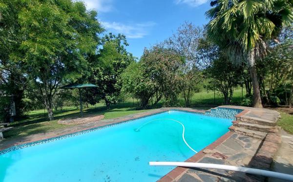 2.8 ha Smallholding