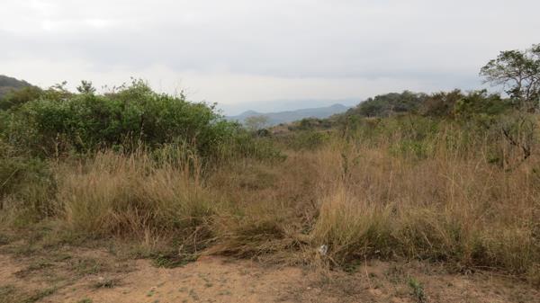 12 800 ha Farm