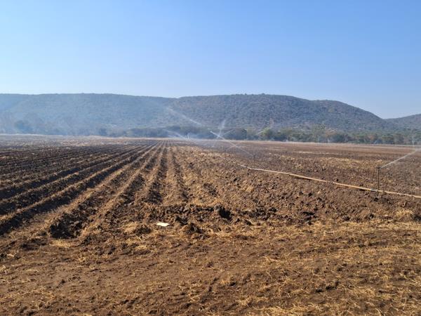 300 ha Farm