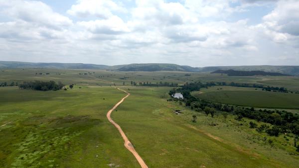 881 ha Land
