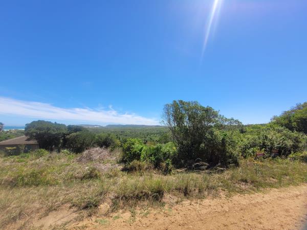 1 146 m² Land