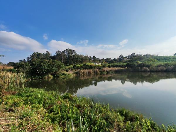 15 ha Farm