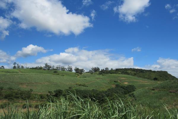 44.1 ha Land