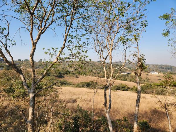 1.3 ha Land