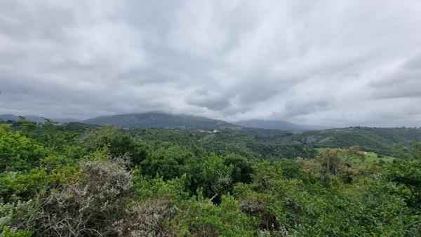 6 ha Land