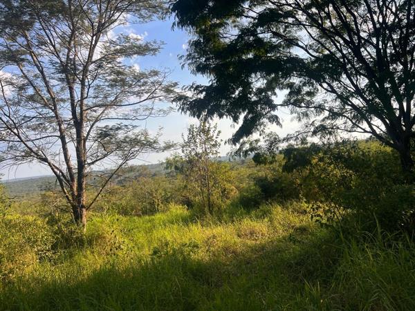 21.4 ha Land