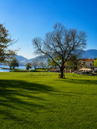 785 m² Land