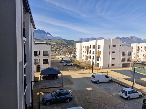 Bachelor apartment