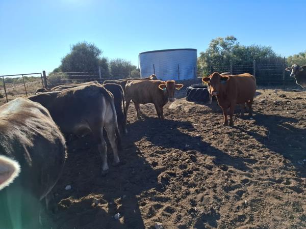 1 713 ha Farm